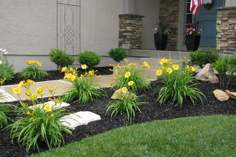 yard