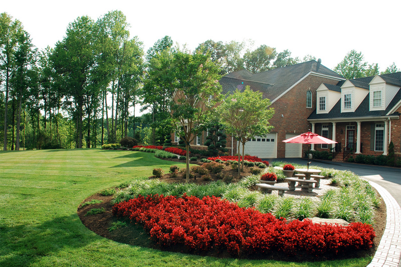 yard